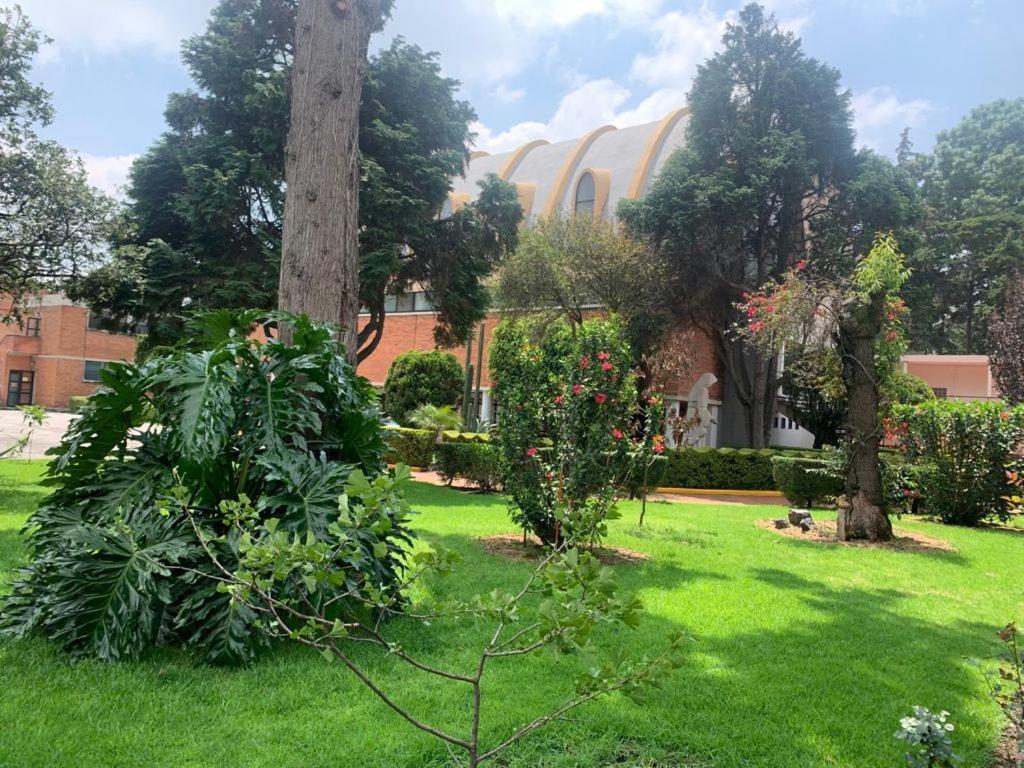 Hotel Express Quinta Soledad Мексико Сити Екстериор снимка