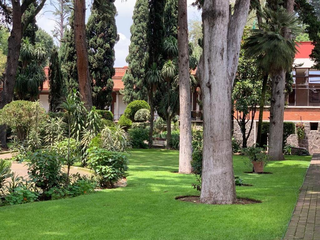 Hotel Express Quinta Soledad Мексико Сити Екстериор снимка