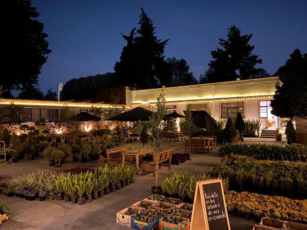 Hotel Express Quinta Soledad Мексико Сити Екстериор снимка
