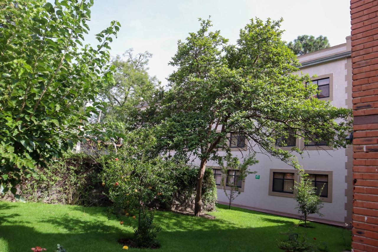 Hotel Express Quinta Soledad Мексико Сити Екстериор снимка