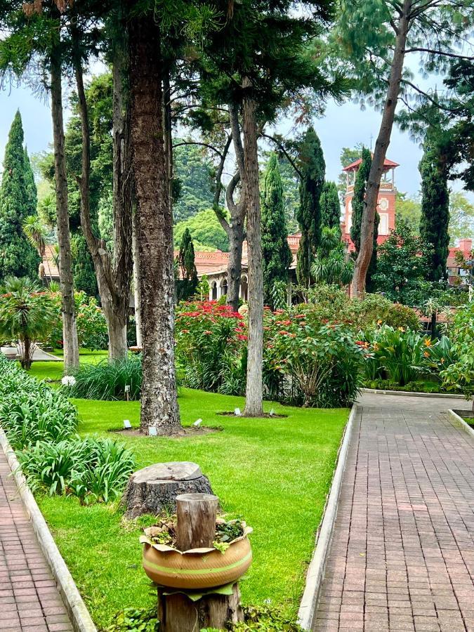 Hotel Express Quinta Soledad Мексико Сити Екстериор снимка