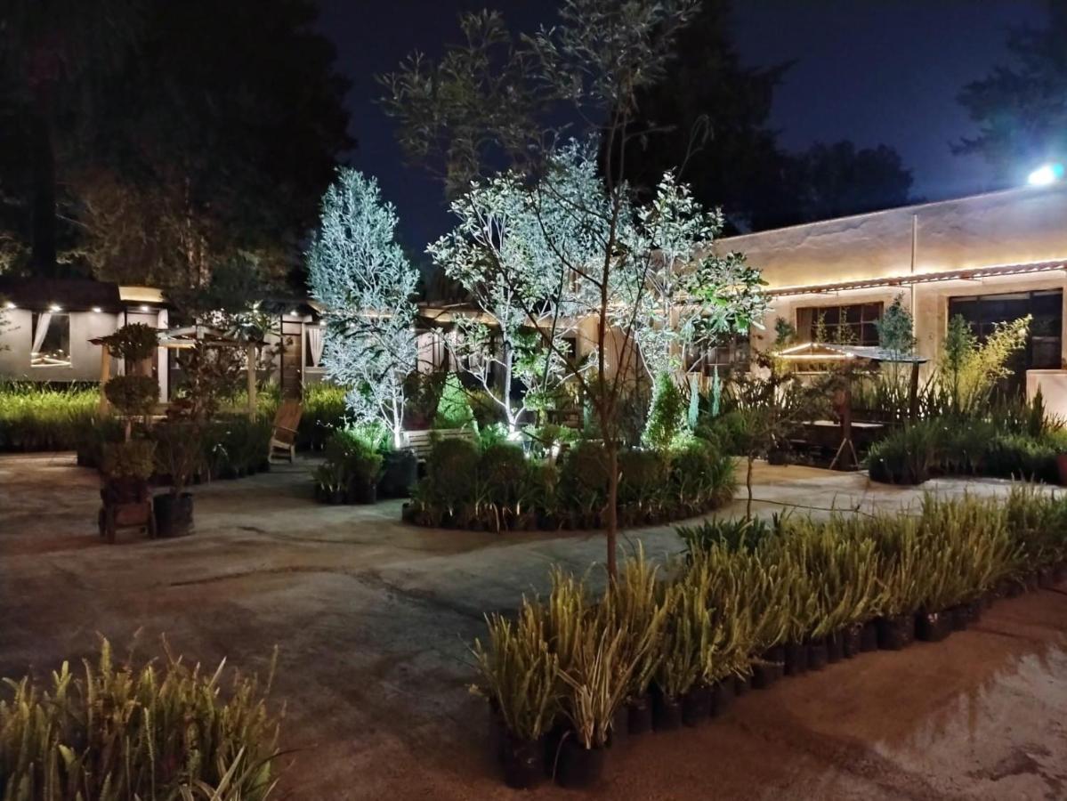 Hotel Express Quinta Soledad Мексико Сити Екстериор снимка