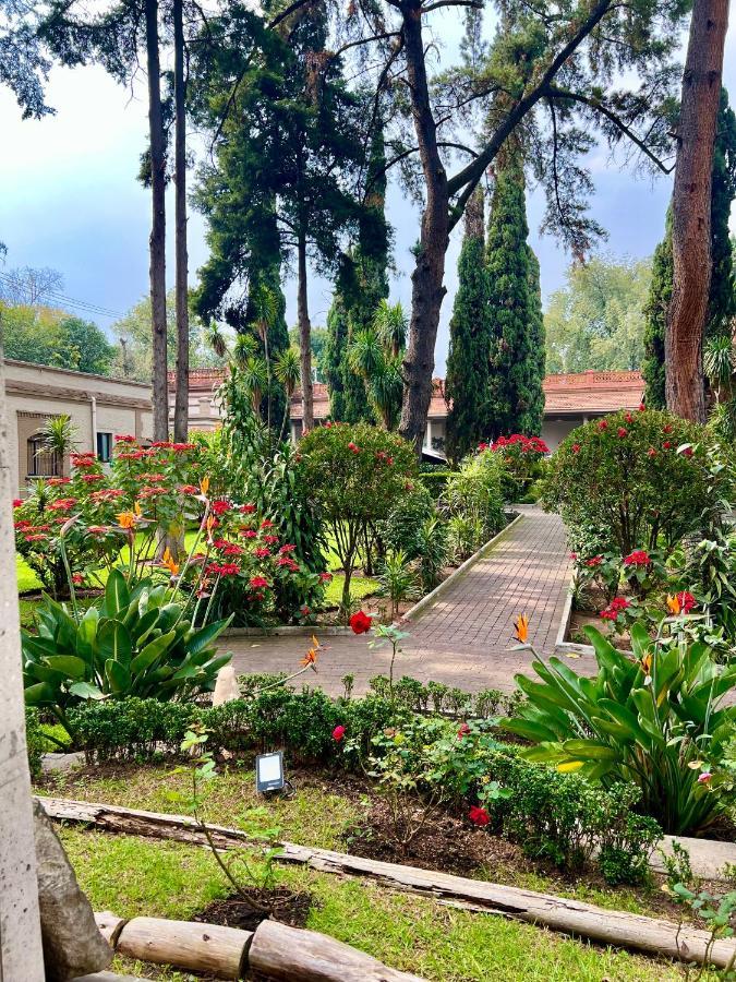 Hotel Express Quinta Soledad Мексико Сити Екстериор снимка